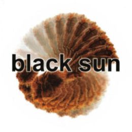 Black Sun Flesh Market