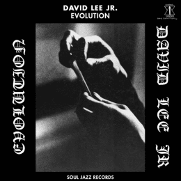 David Lee Jr. - Evolution