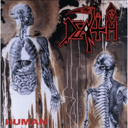 Death - Human