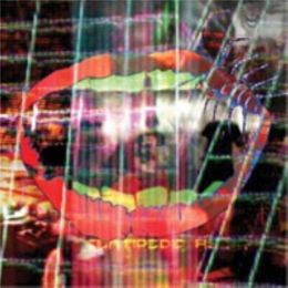 Animal Collective - Centipede Hz (CD Ltd Ed.)