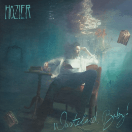 Hozier - Wasteland, Baby 5th Anniversary (Coloured Vinyl)