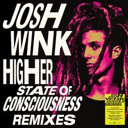 Josh Wink - Higher State Of Conciousness Erol Alkan Remix