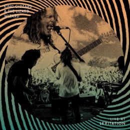 King Gizzard and The Lizard Wizard - Live at Levitation '14 and '16