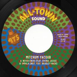 Mitchum Yacoub - Never Knew 