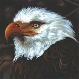 Mogwai - The Hawk Is Howling (2023 Reissue)