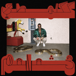Shabazz Palaces - Robed In Rareness