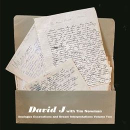 David J / Tim Newman - Analogue Excavations and Dream Interpretations Vol 2