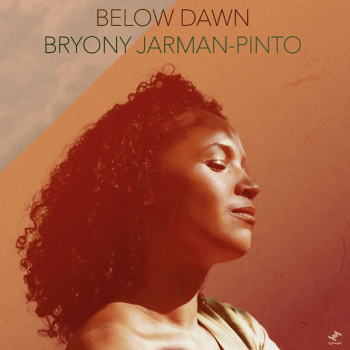 Bryony Jarman-Pinto - Below Dawn
