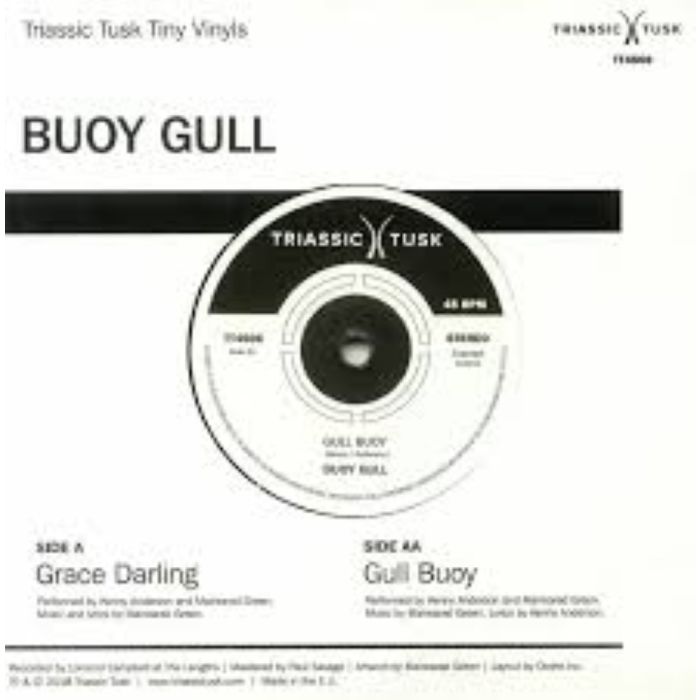 Buoy Gull - grace darling gull buoy