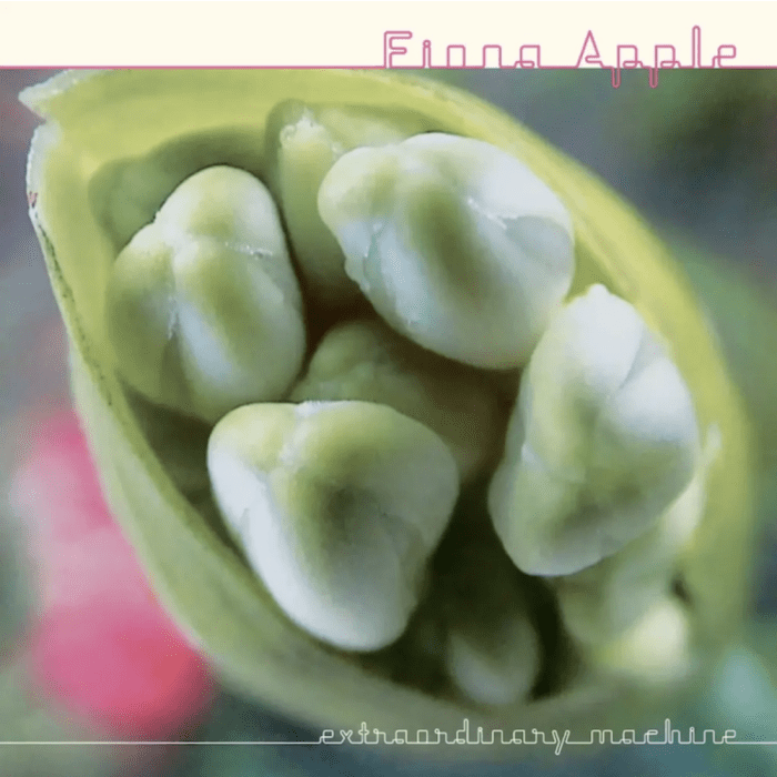 Fiona Apple - Extra-Ordinary Machine