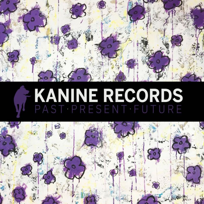 various artists - kanine records past present future