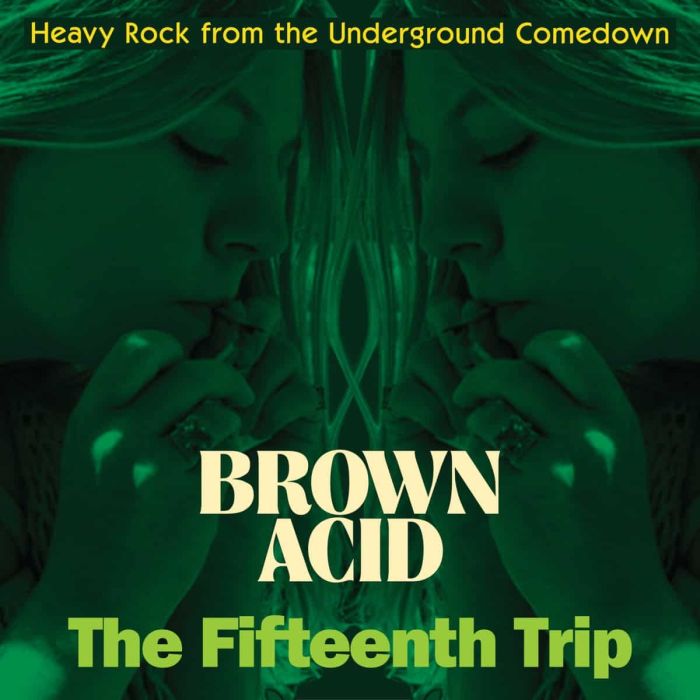 Various - Brown Acid - The Fifthteenth Trip